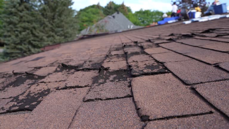 Best Tile Roofing Installation  in The Plains, OH